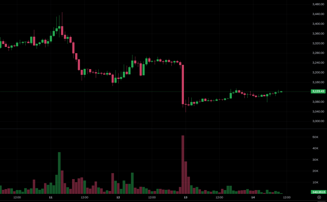 BitMine은 물품 청소에 1억 2천만 달러를 추가로 지출합니다. 38,000 이더리움! ETH는 $3,100